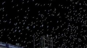 Boca Juniors conquistó una nueva liga en Argentina.