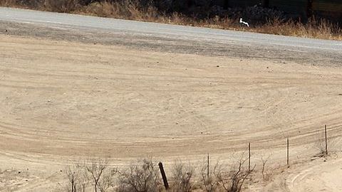 Borderdesierto