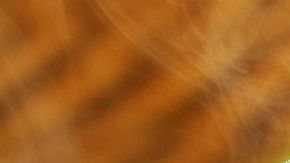 Características de los signos de tierra.