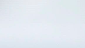 El presidente Donald Trump.