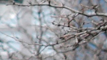 Decenas llegaron al oeste de Manhattan para ver al buque.