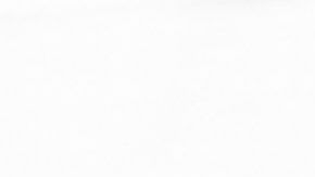 En total, se han confirmado 704 muertos por COVID-19 en todo EEUU.