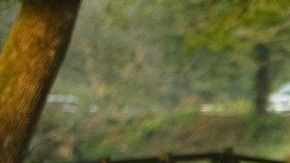 El Vochito de Volkswagen comenzó su producción en el año 1938.