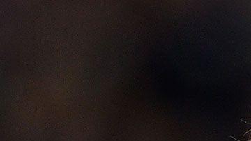 Lloyd ha ganado dos Copas del Mundo y dos medallas olímpicas de oro.