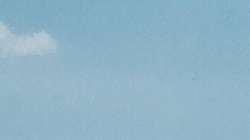 La mayoría de estos vehículos son modelos que mucha gente busca