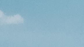 Los vehículos están diseñados para ser conducidos