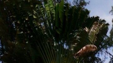 Una casa con piscina puede ser una utopía atractiva por todos los cuidados que conlleva.