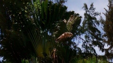 Una casa con piscina puede ser una utopía atractiva por todos los cuidados que conlleva.