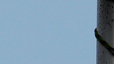 Miles de presos se verán beneficiados ante emergencia sanitaria en Colombia.