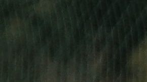 Hirving ‘Chucky’ Lozano pudo haber tenido minutos en este duelo.