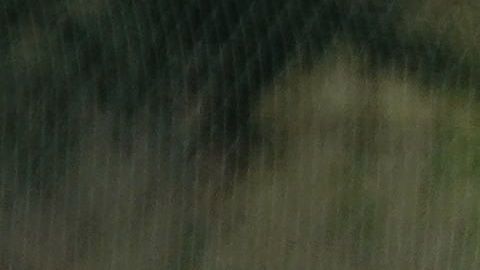 Hirving ‘Chucky’ Lozano pudo haber tenido minutos en este duelo.