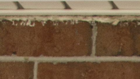 A comienzos de mayo, los enumeradores visitarán los hogares que aún no han respondido.