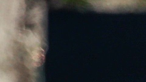 Los golfistas tuvieron que marcharse antes de completar la primera ronda, pero no se fueron con las manos vacias.
