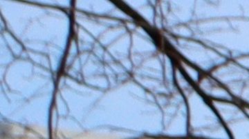 JP Morgan Chase anunció que no financiará las explotaciones petroleras en el Ártico.