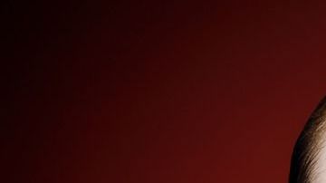 El cacao es el alimento que más contiene teobromina, aunque no es el único.