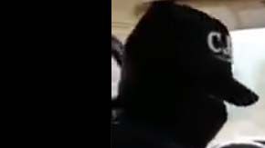 Presunto integrante del CJNG