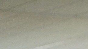 Compartir una casa nunca pudo haber sido tan fácil.