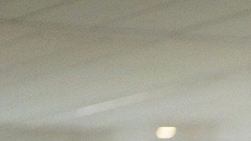 Compartir una casa nunca pudo haber sido tan fácil.
