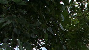 La mansión Crawford Hill