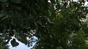 La mansión Crawford Hill