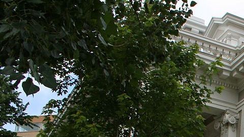 La mansión Crawford Hill