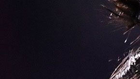 El jugador ahora está en Portugal.