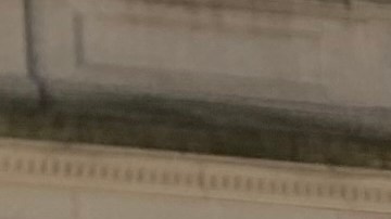 Por años activistas han reclamado tomar más acciones a favor de las víctimas.