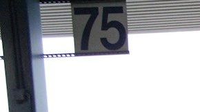 Decomisan metanfetaminas y marihuana de más de 8 mdd en paso fronterizo de Laredo