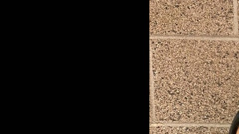 Anayeli Domínguez Peña