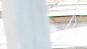 Elizabeth Warren en el Súper Martes.