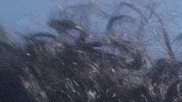 El director de cine Ricardo Figueredo (i) junto al director de fotografía Hansel Leyva, ofrecen sus filmes cubanos en Facebook.