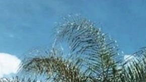 El Chapito nueva foto