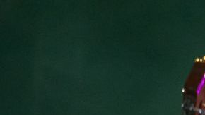 Los Tigres del Norte no cancelaron su presentación durante el multitudinario concierto.