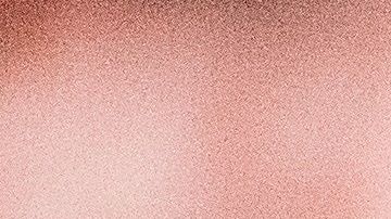 Los propietarios constantemente cometen errores al cuidar de su primera mascota.