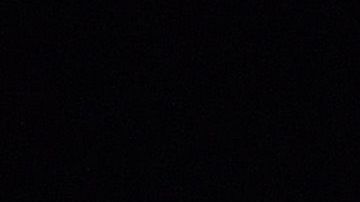 Las gradas de Tigres reciben bien a los jugadores que llegan de otros países.