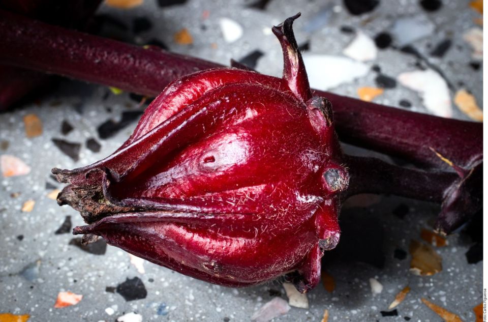 Los inigualables beneficios medicinales de la flor de jamaica - El