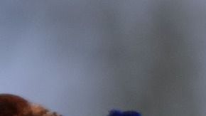 Cada signo tiene un amuleto protector.