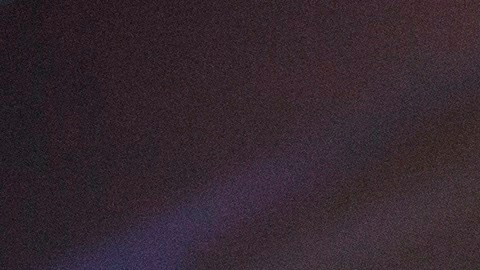 Donald Trump en rueda de prensa.