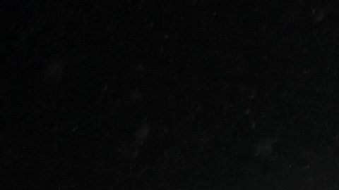 Daniel Levy, el dueño del club, anunció la polémica decisión.