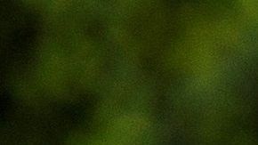 Las relaciones interpersonales no deben cambiar por el coronavirus.