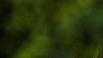 Las relaciones interpersonales no deben cambiar por el coronavirus.