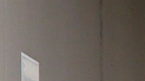 La policía detuvo a la mujer y la llevó de vuelta al hospital.