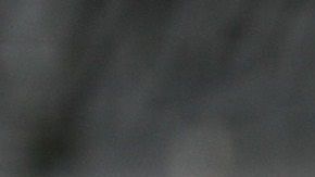 El Gobierno no considera aún  declarar la emergencia.