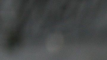El Gobierno no considera aún  declarar la emergencia.