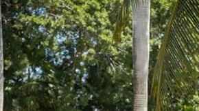 Turistas reciben alimentos y bebidas.