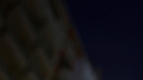 Día Internacional de la Mujer.