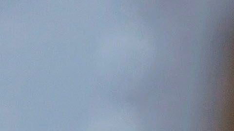 La curva plana permitiría no colapsar el sistema sanitario.