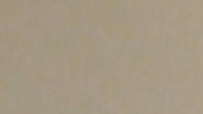 La comunidad había comprado un respirador para quien lo necesitara.