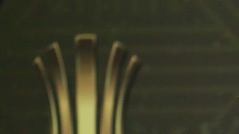 Flamengo aparece como el gran candidato a quedarse nuevamente con el título.