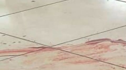 Fotos: Matan a 2 a balazos mientras comían dentro de restaurante en México